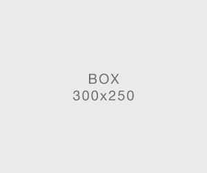 box300x250